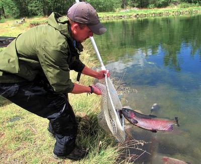 Giant trout stocked in Challis pond, Sports