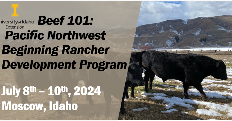 Beef 101: Pacific Northwest beginning rancher development program - Vimarsana News