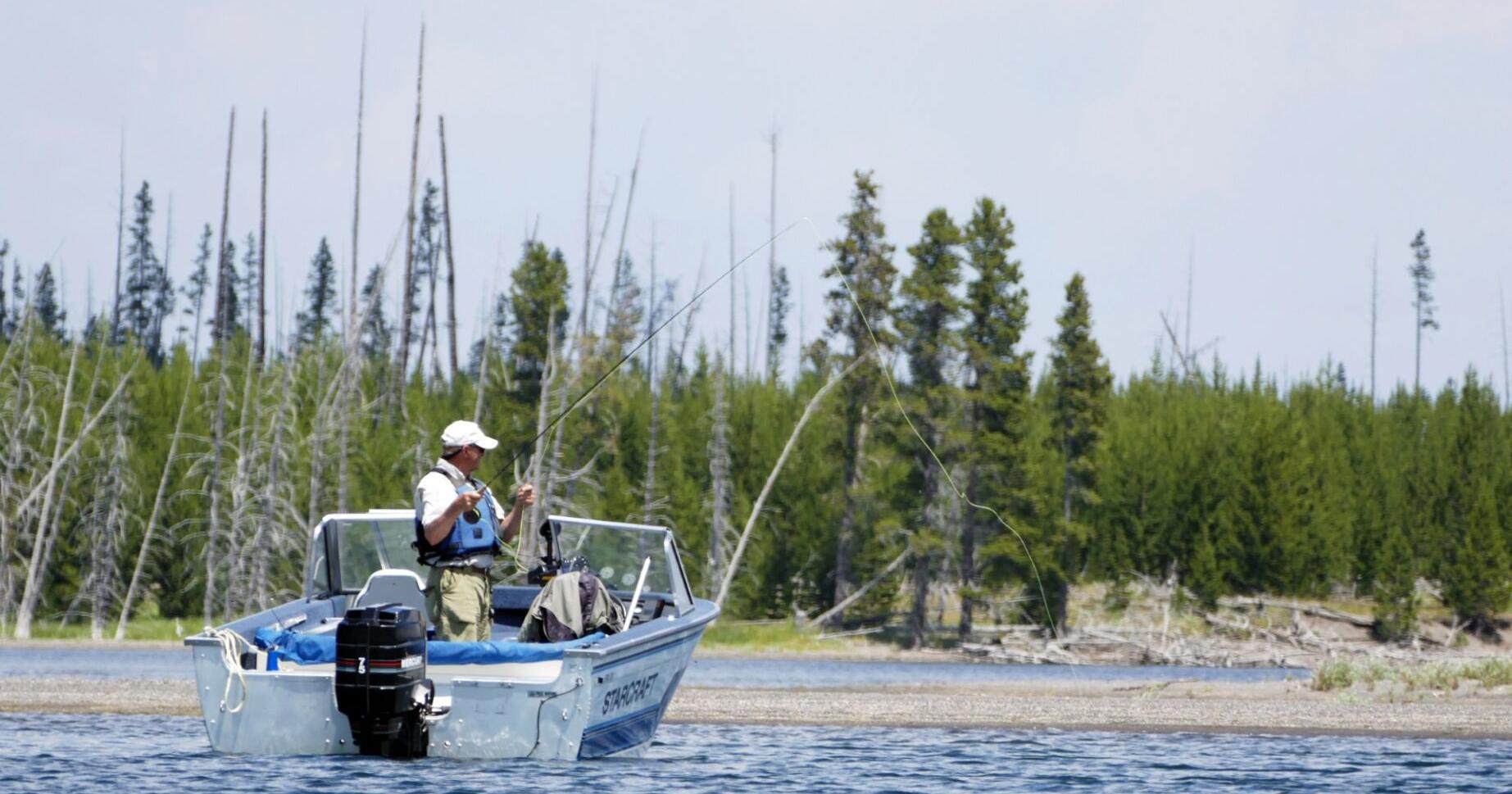 Yellowstone fisheries chief highlights top spots for biggest trout - Vimarsana News