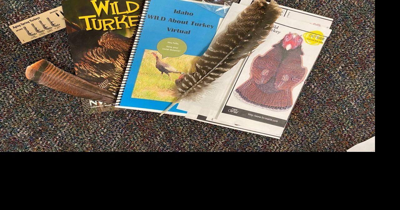 Three new Project WILD courses offered virtually | Local News ...