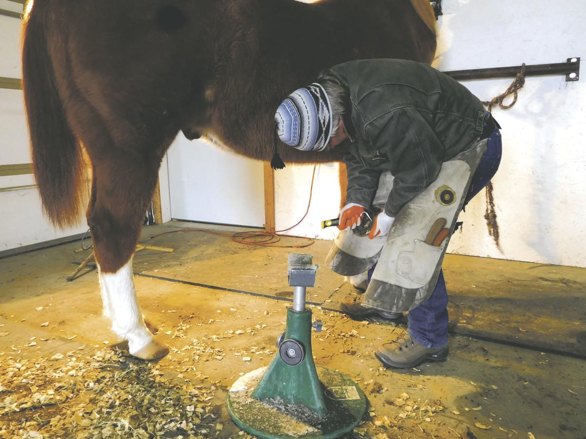 Victor Farrier Specializes In Glue-on Shoes Local Postregistercom Victor Farrier Specializes In Glue-on Shoes Local Postregistercom