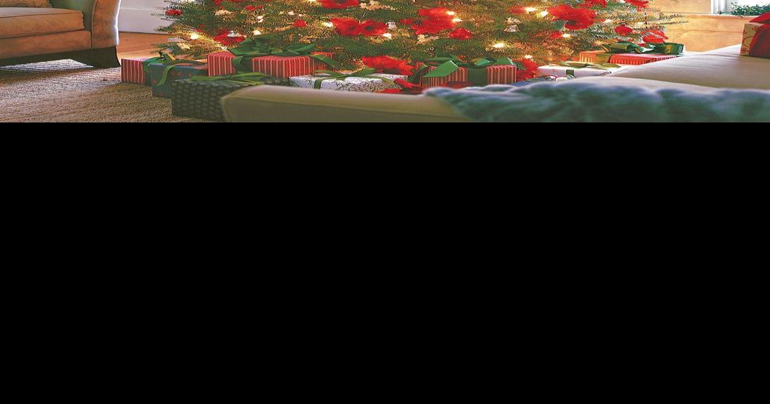 Christmas Tree Lots Boise 2022 Christmas Traditions: A Look At The History Of Christmas Trees | News |  Postregister.com