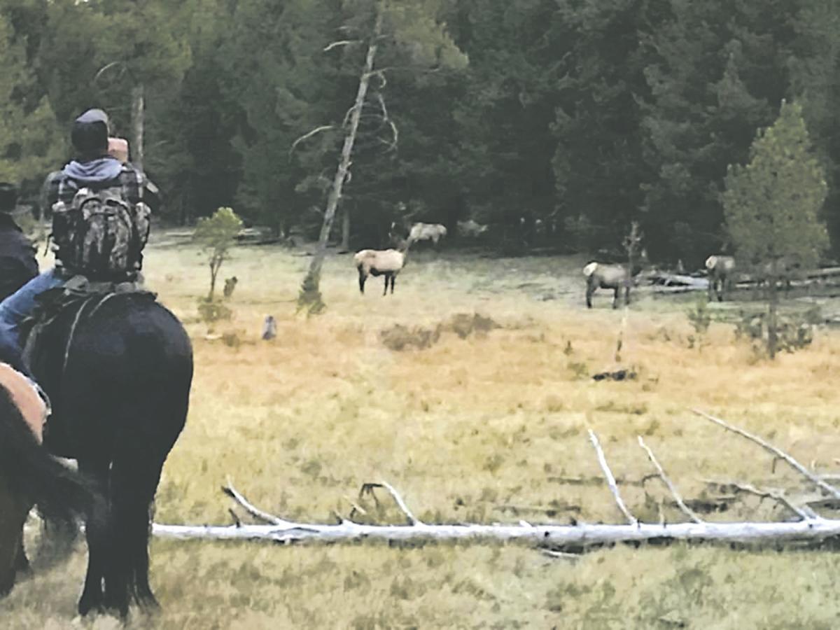Family agribusiness takes riders to see elk Idaho