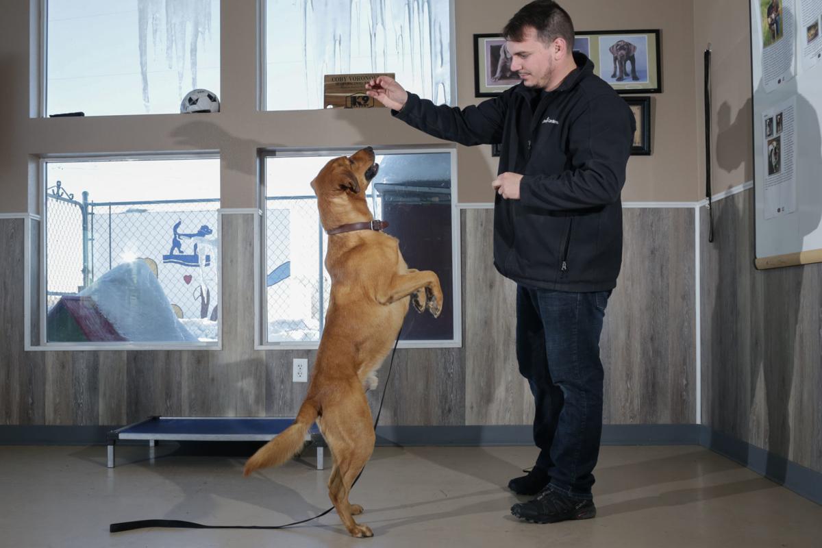 Work Like A Dog Idaho K9 Academy Expanding To Assist More People Local News Postregister Com Take part in one of the best training academies in the nation. work like a dog idaho k9 academy