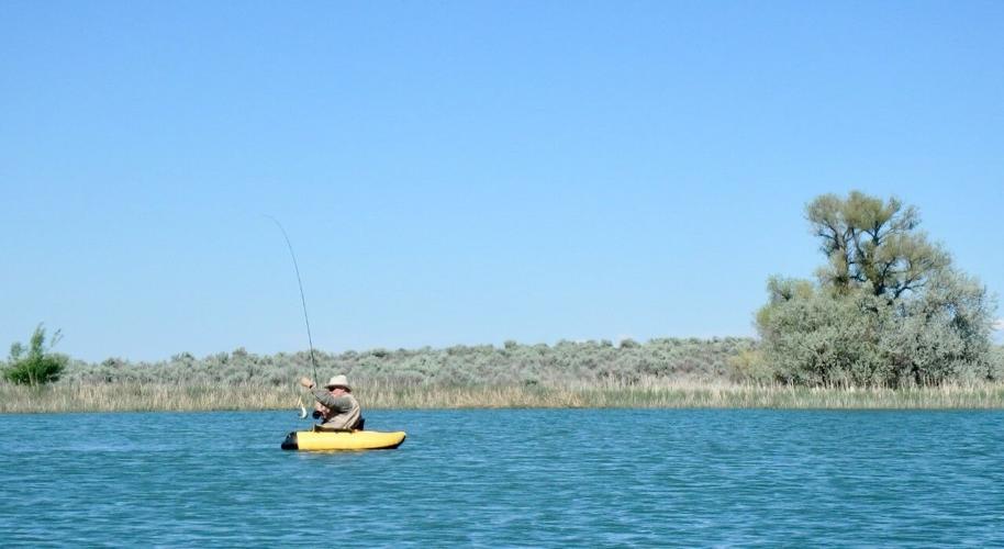 CONNELLY A brutal day of fishing is Chronicle