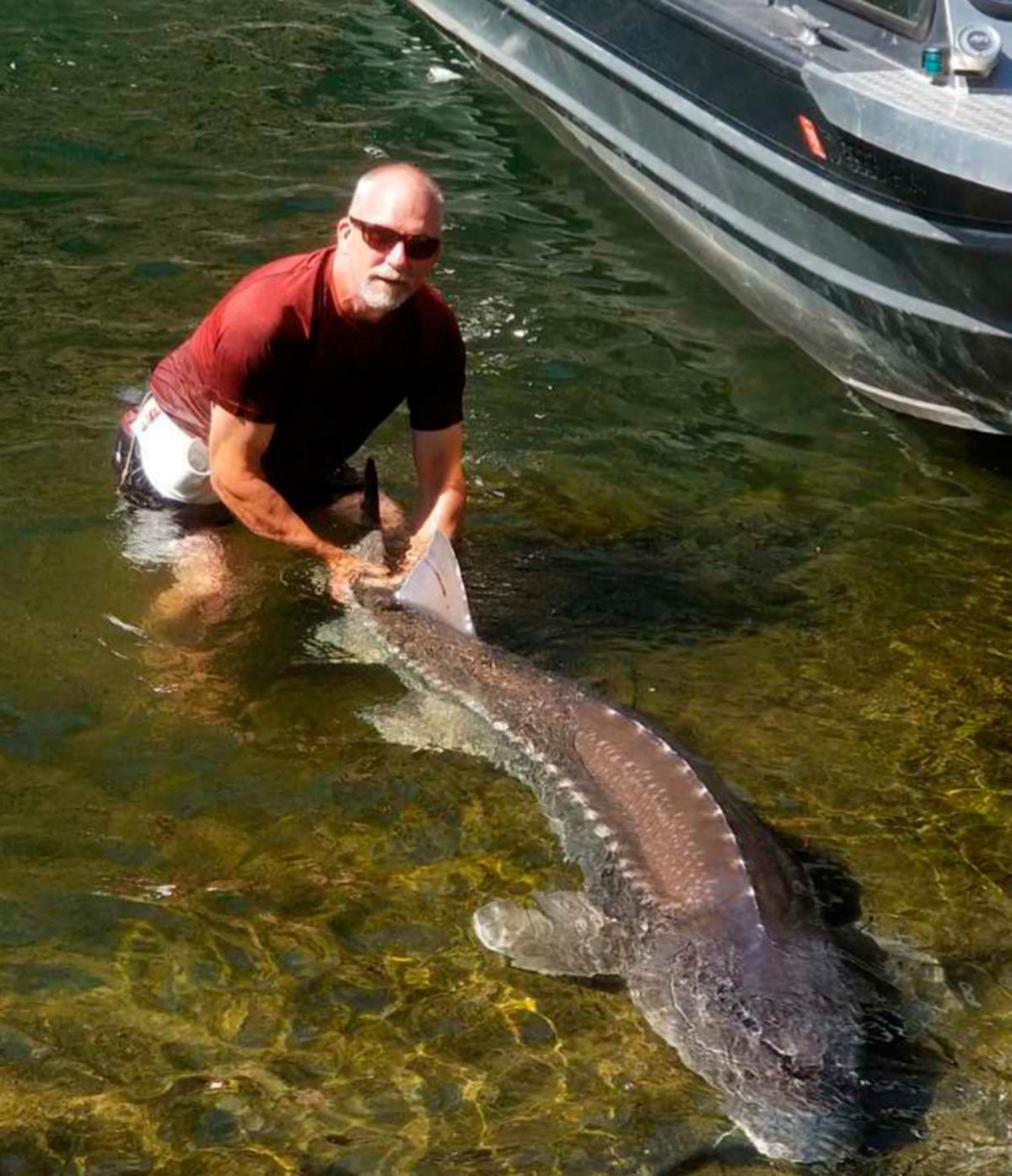 Ed Schriever To Head Idaho Fish And Game Outdoors Postregister Com