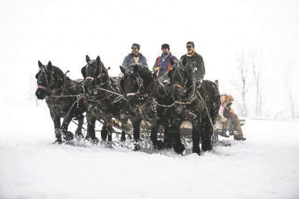 Family Agribusiness Takes Riders To See Elk Idaho Postregister Com