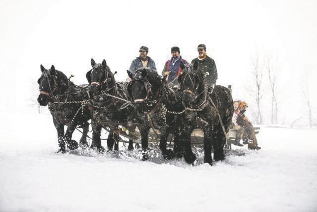 Family Agribusiness Takes Riders To See Elk Idaho Postregister Com