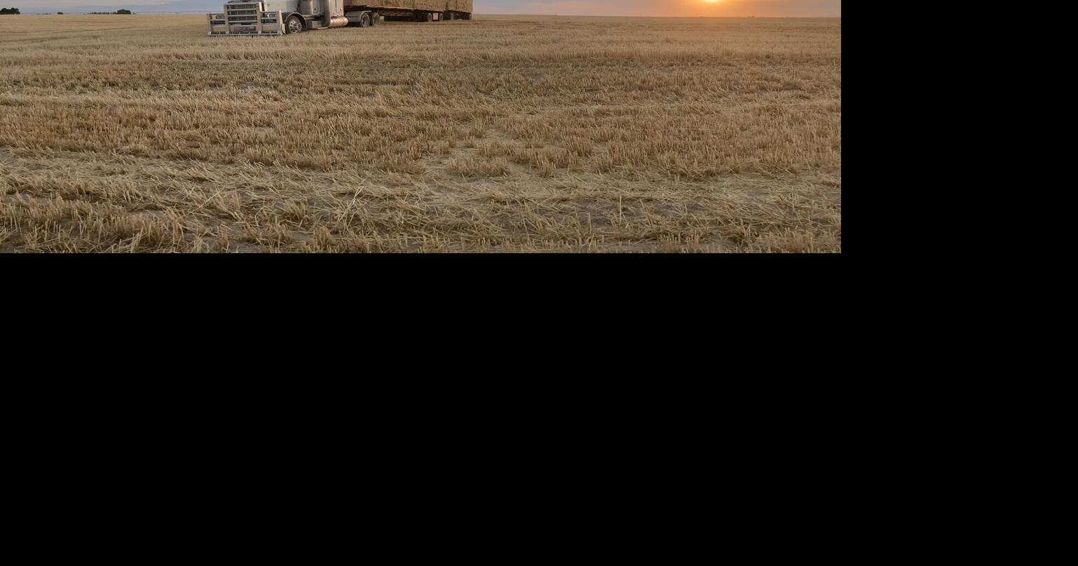 New charter school to focus on agriculture