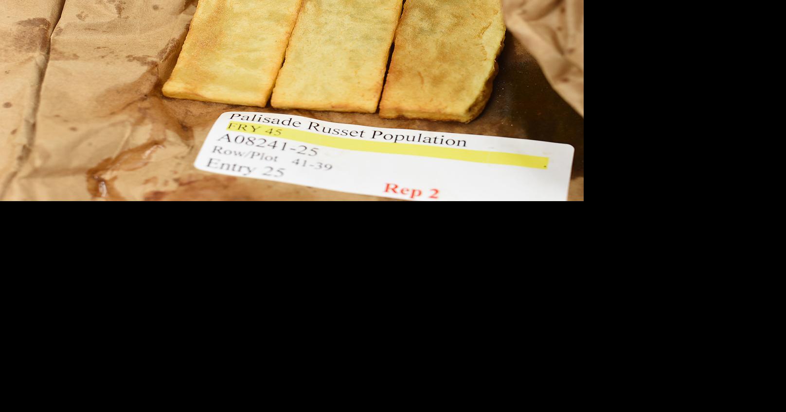 The gold standard: Aberdeen fry trials test processing potential of ...