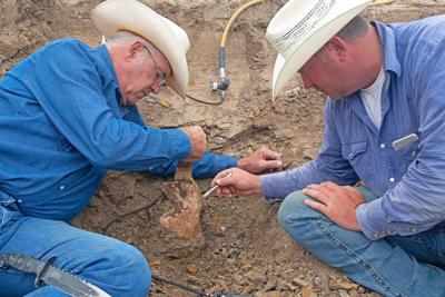 dino hunters discovery episodes