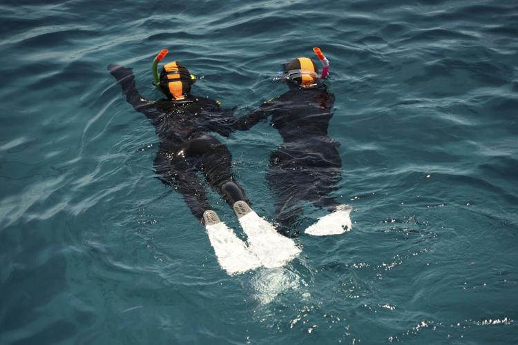 Scientists try to bolster Great Barrier Reef in warmer world | Features ...