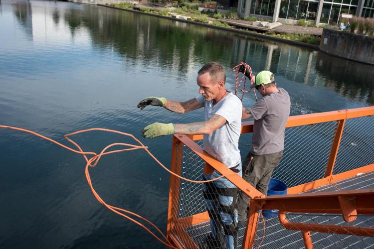 Popularity of magnet fishing grows in Spokane despite muddy legal