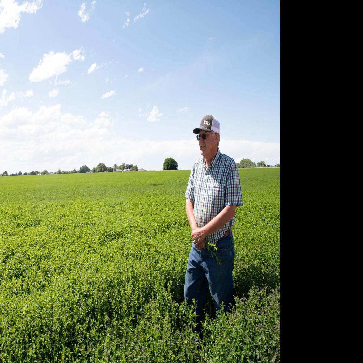 Meridian Mint Farmer Retires After 41 Years Idaho Postregister Com