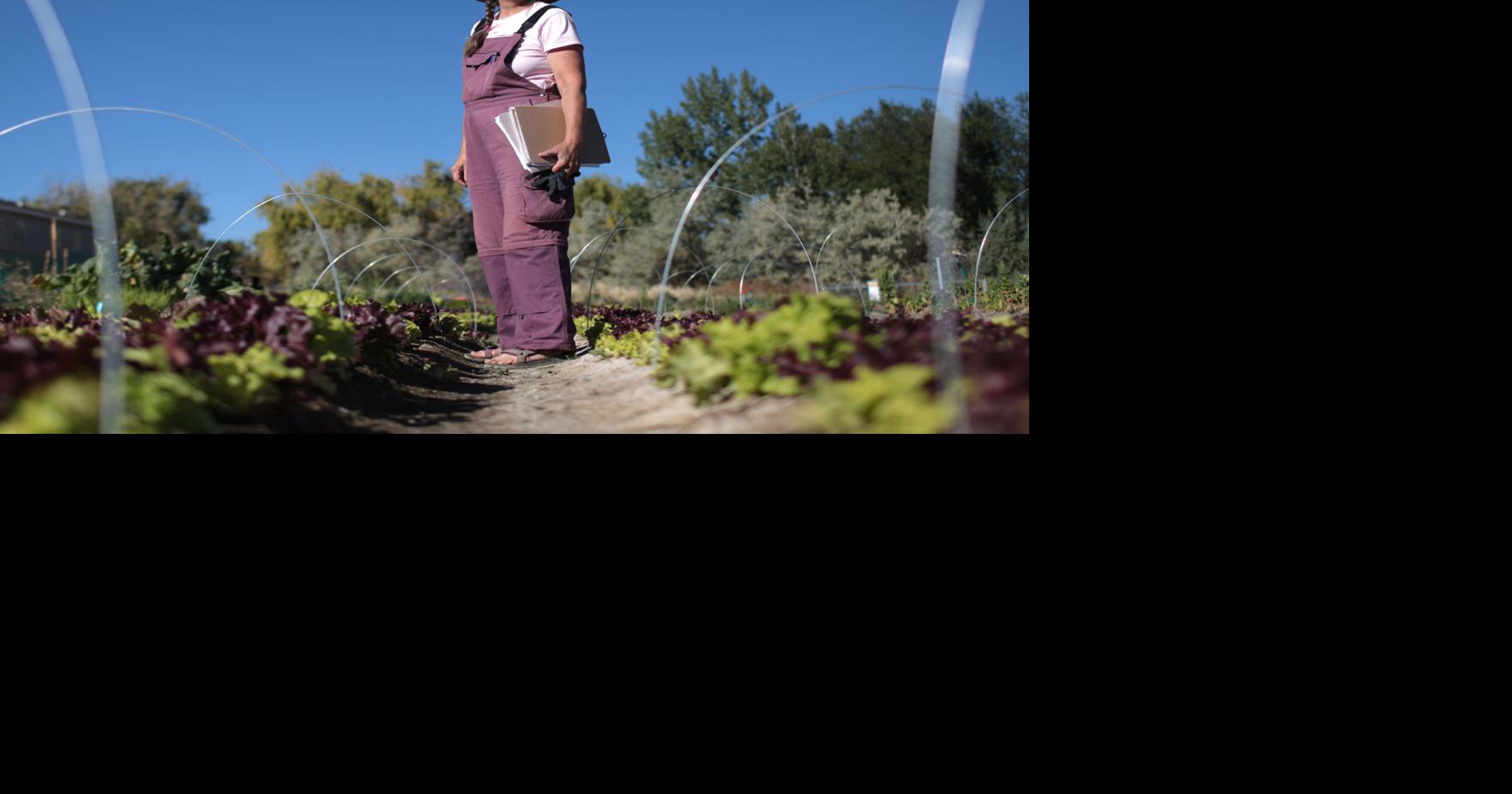 Urban farm grows fresh produce and sense of community | Local News ...