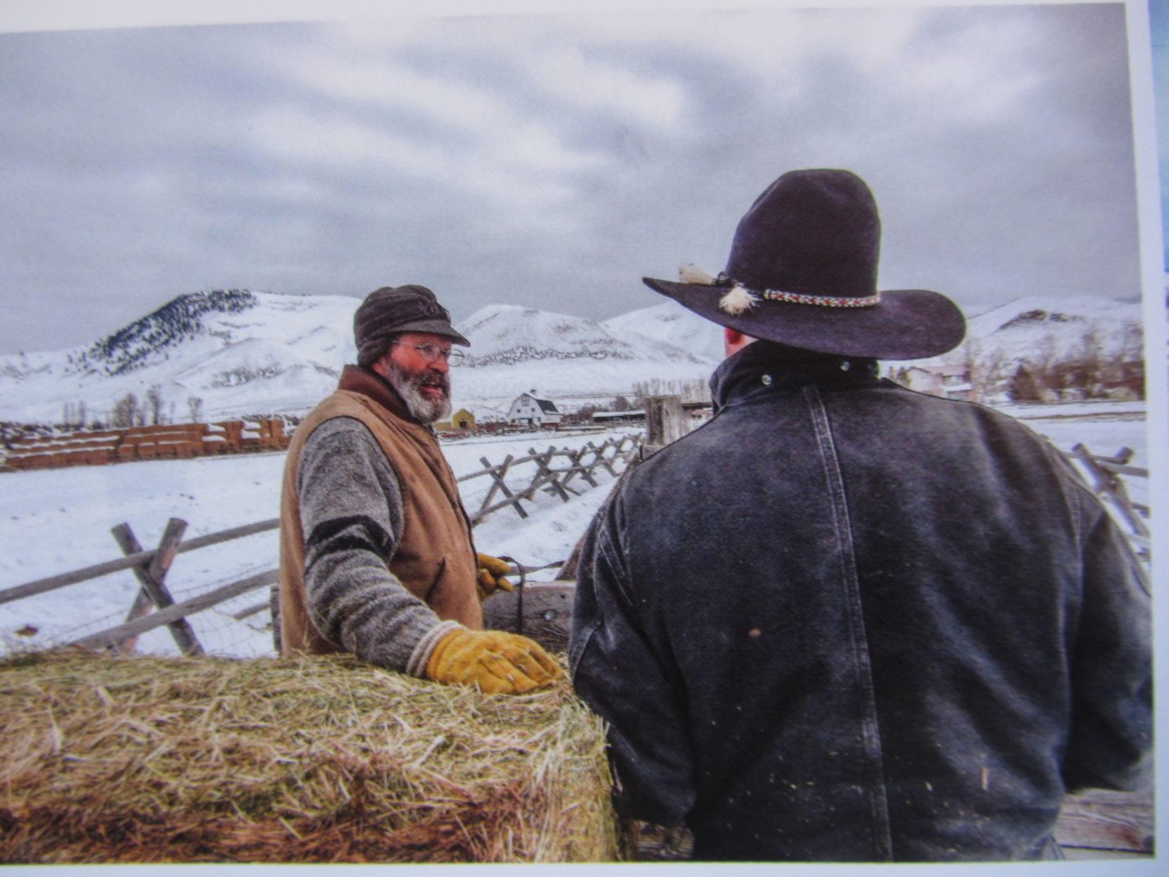 Barnyard Basics Shiner Ranch Barnyard Basics Postregister Com