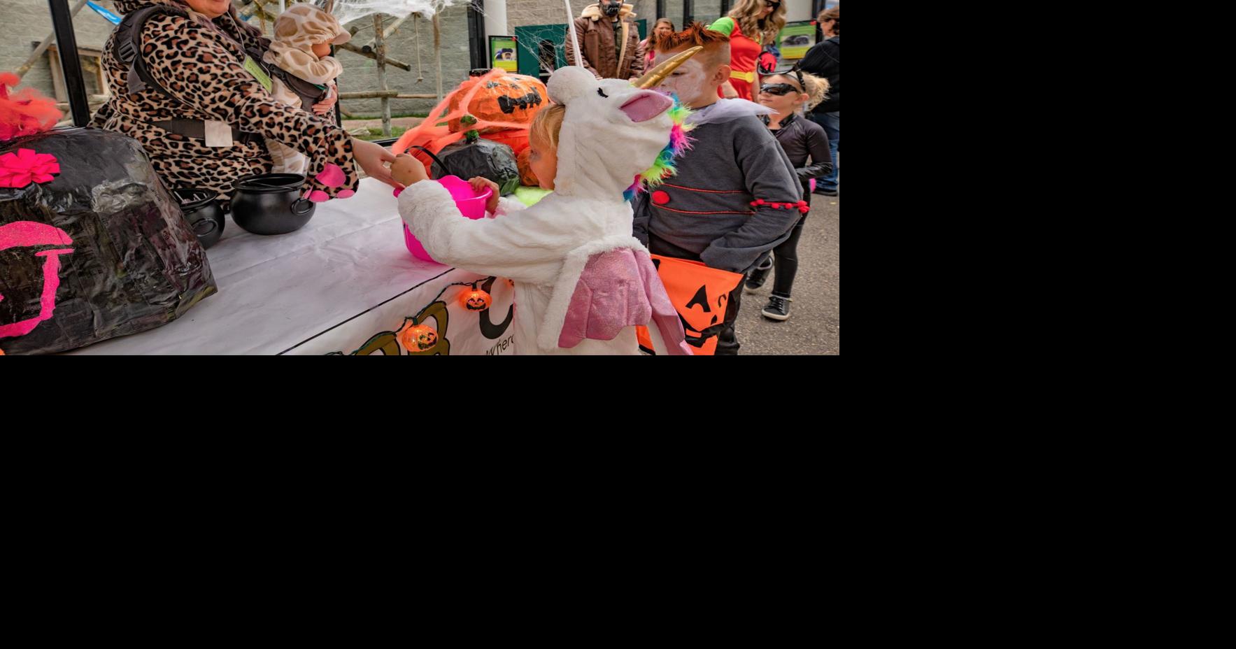Idaho Falls Zoo to hosts 19th annual Boo at the Zoo | Local News ...