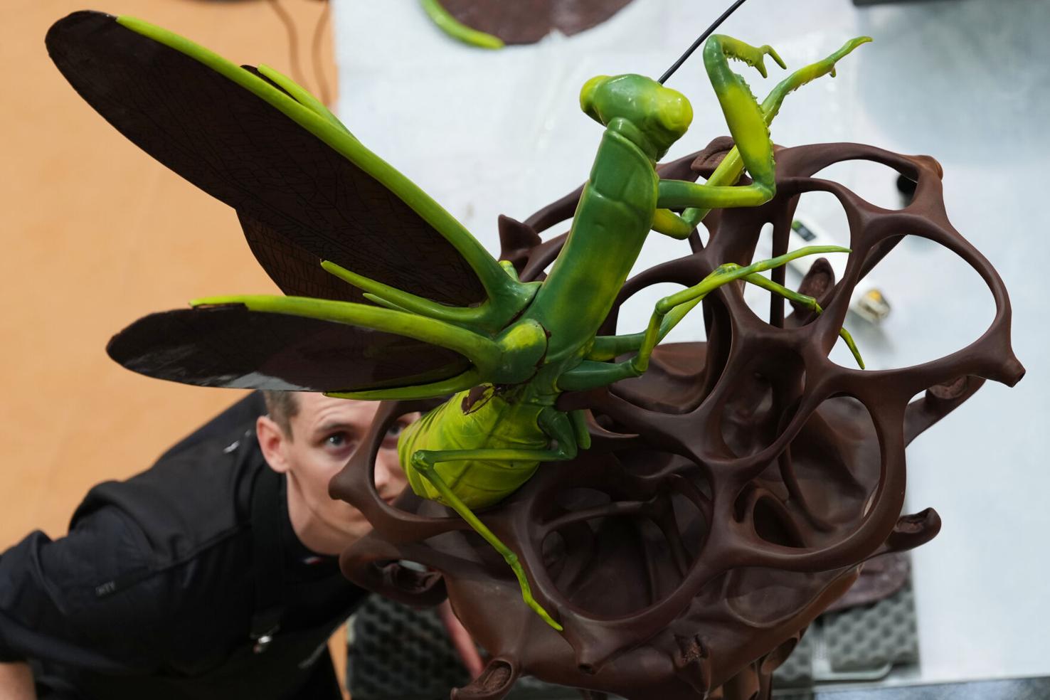 Belgium Chocolate Masters | World News | postregister.com