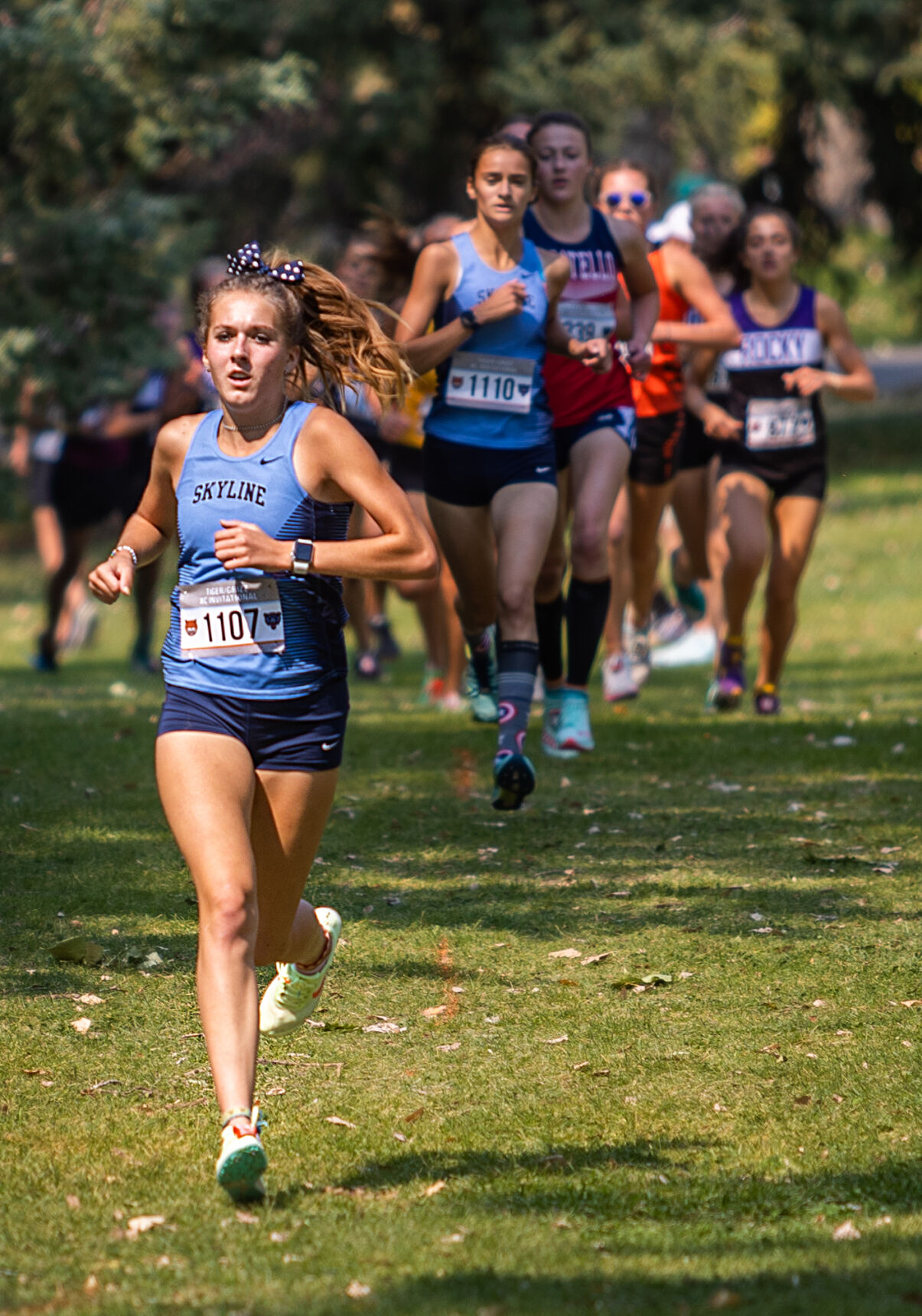 HIGH SCHOOL CROSS COUNTRY: Skyline's Roberts repeats as Tiger