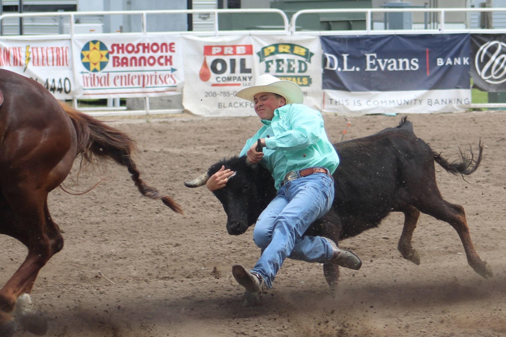 amateur bull riding ohio Sex Pics Hd
