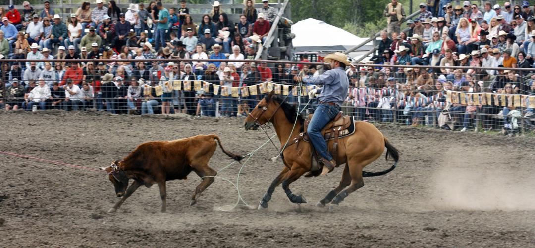 Rodeo, parade, music fill Mackay weekend News