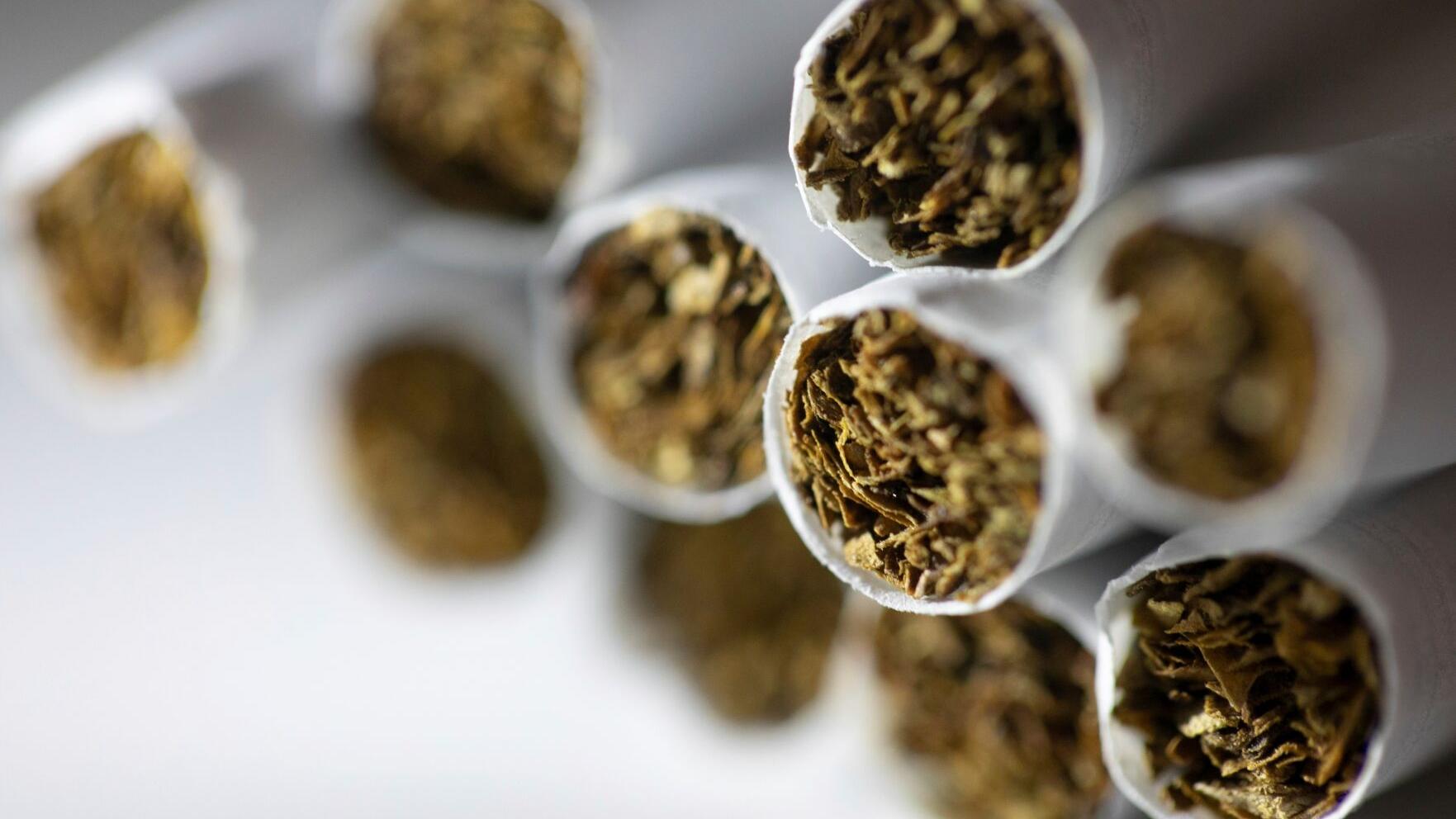where to buy tobacco free chew Peppermint Gum