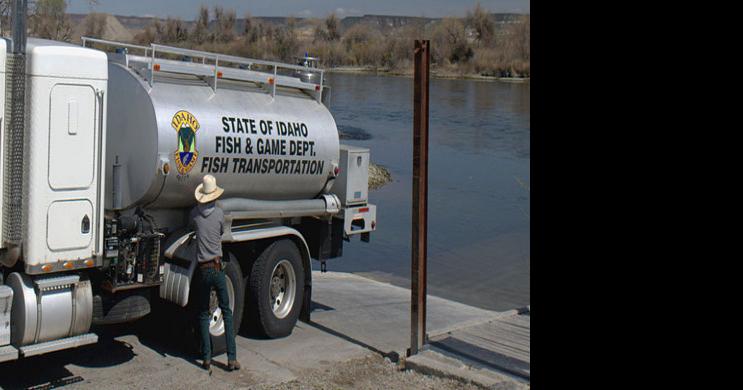 fish-and-game-stocking-thousands-of-fish-in-eastern-idaho-in-september