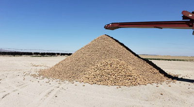 Coronavirus Results In Potato Glut After Initial Shortage Predictions Coronavirus Postregister Com