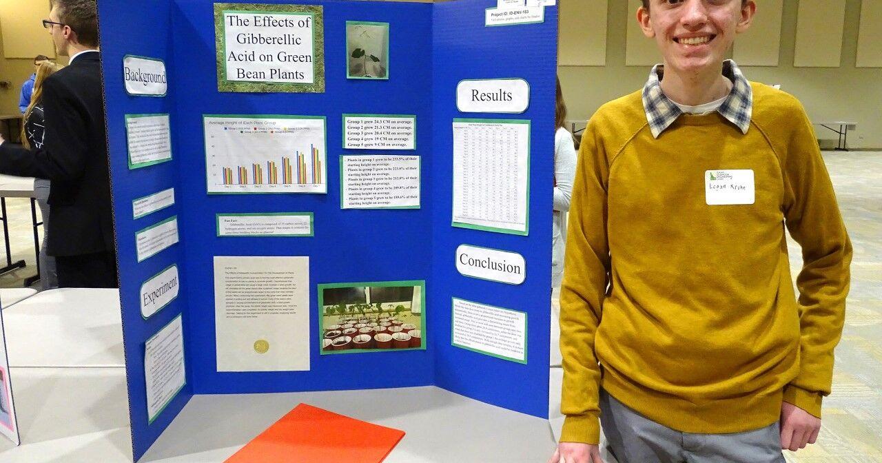 I.F. students dominate Eastern Idaho Science and Engineering Fair