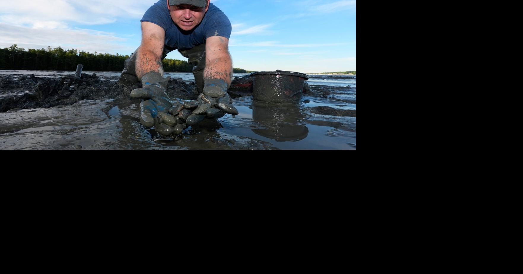 Green Crabs | National News | postregister.com