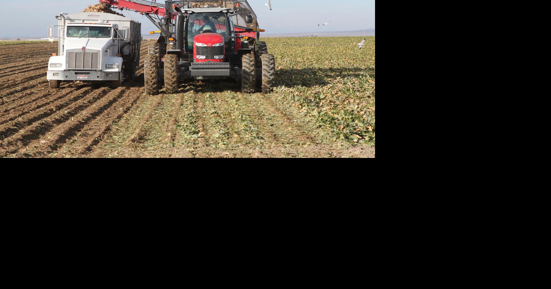 Cassia County is the poster child for ag in Idaho Southern Idaho