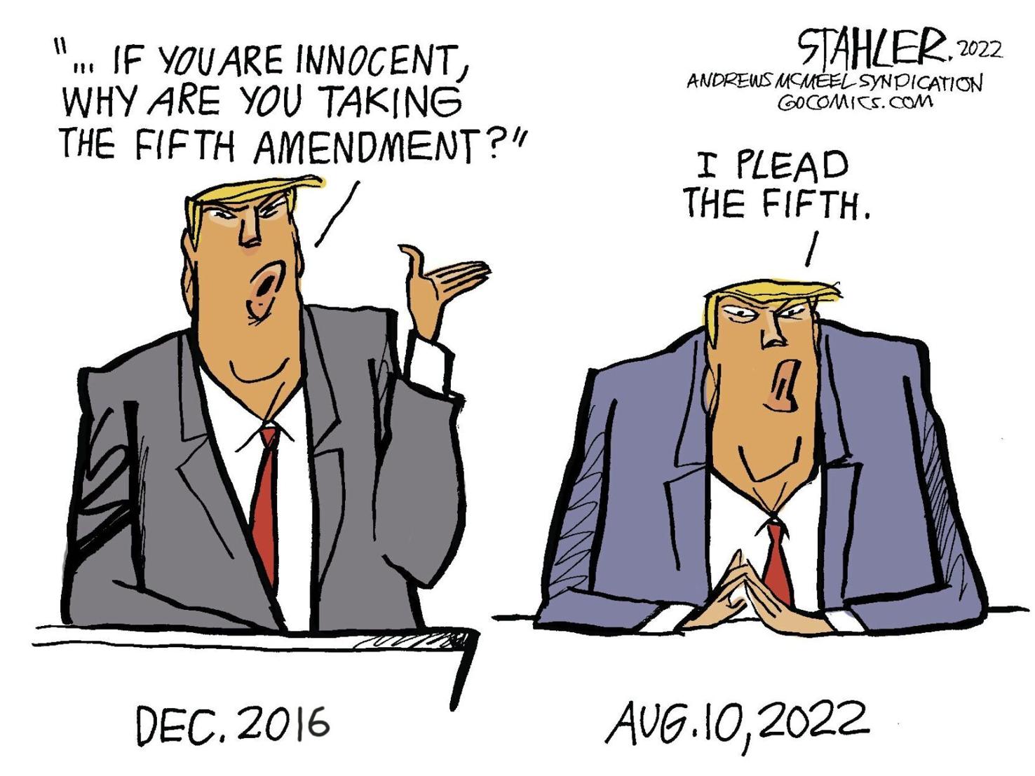 Pleading The Fifth Then And Now Cartoons postregister com