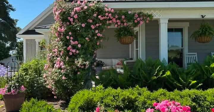 Southeast Garden Clubs announce self-guided tour Saturday