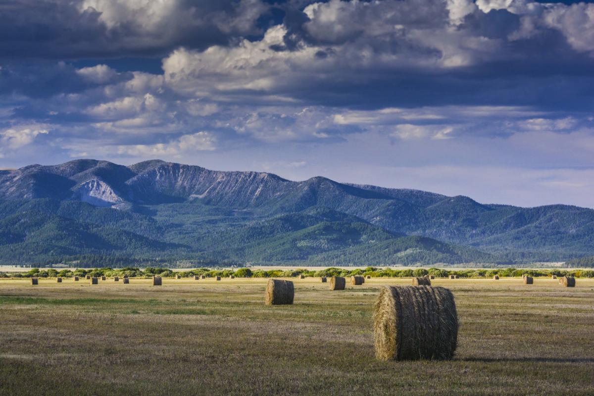 Look out Kilgore, gold mining mess coming your way Outdoors