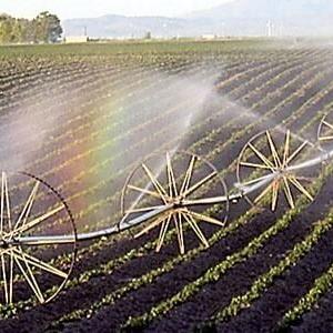 Idaho farmers say water curtailment order will dry up land, push them out of business - Vimarsana News