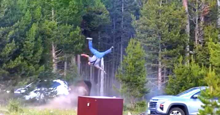 Bison attacks and injures grandfather in Yellowstone National Park