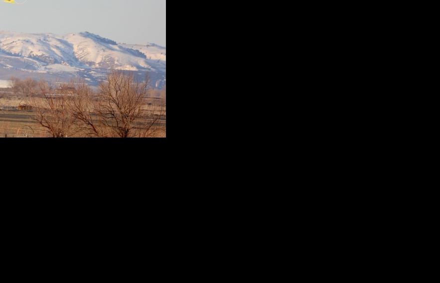 Authorities use helicopter to help push 600 elk across I15 south of