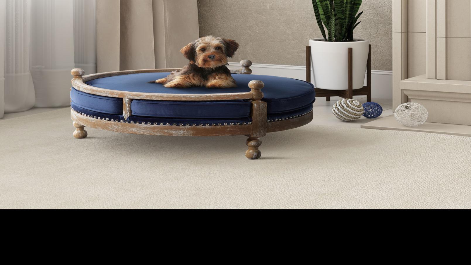 The Latest In Pet Furniture Pieces That Fit A Home S Decor Food