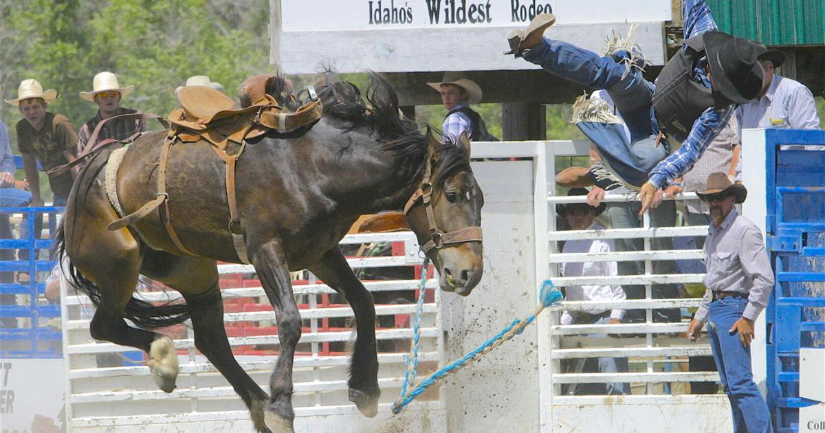 'IDAHO'S WILDEST': Mackay Rodeo earns prestigious PRCA approval | Farm ...