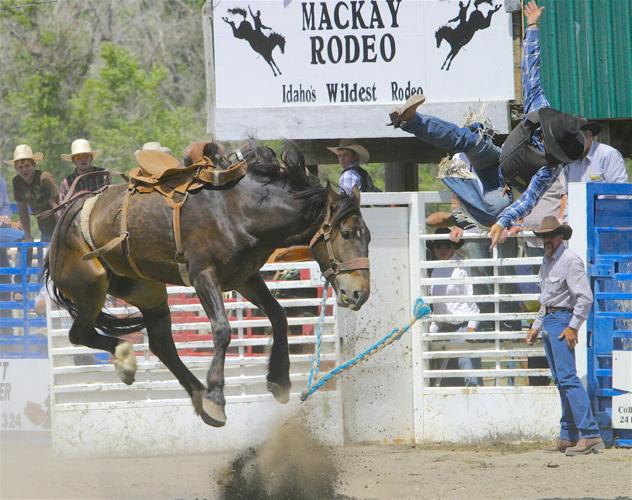 'IDAHO'S WILDEST' Mackay Rodeo earns prestigious PRCA approval Farm