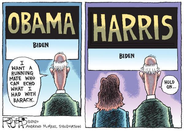 Harris Biden 2020 Cartoons Postregister Com