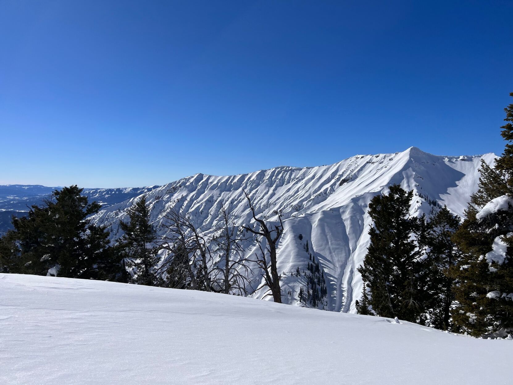 Experts At Avy Savvy Predict Dangerous Avalanche Conditions This Year   6578f43838621.image 