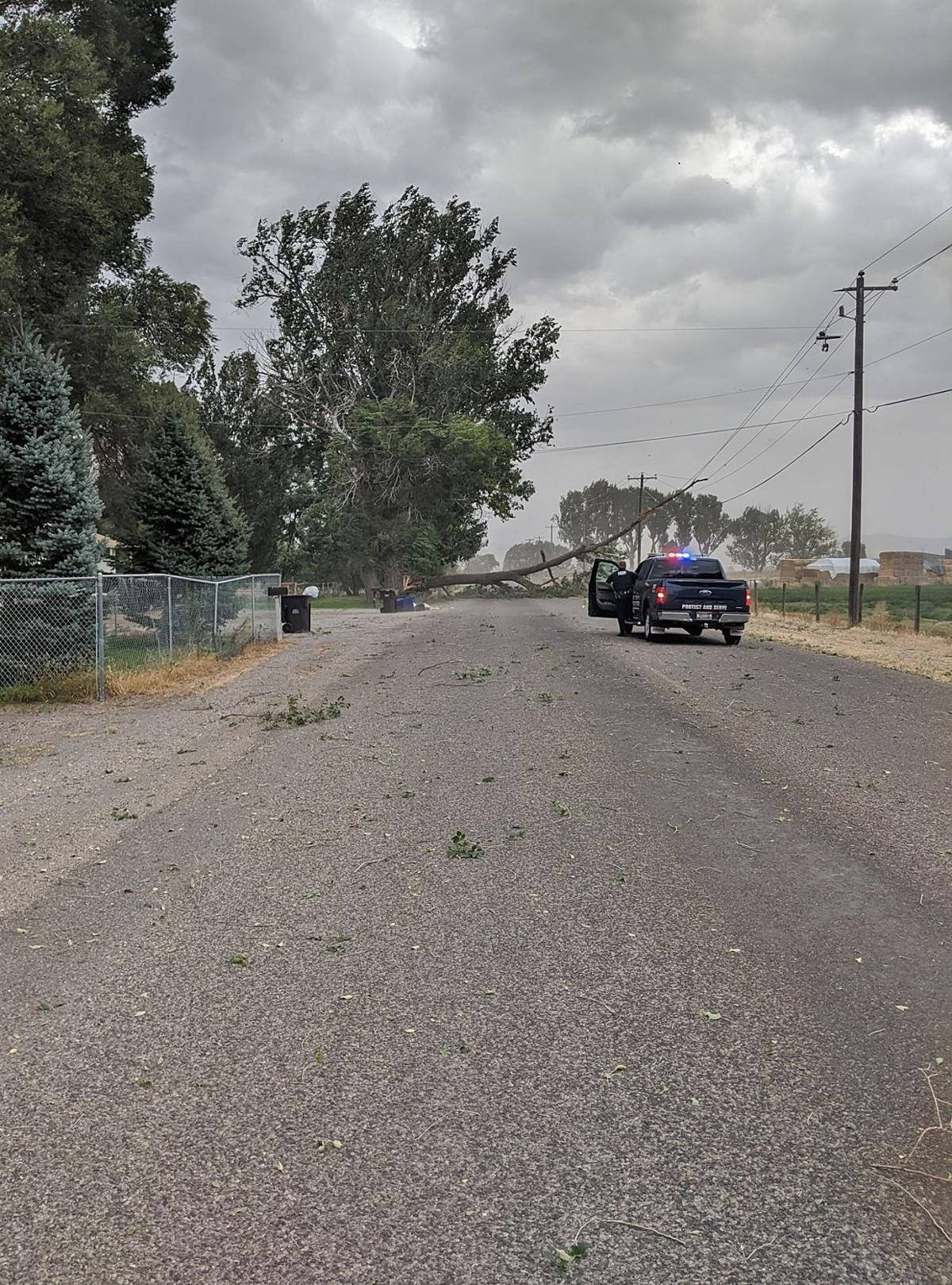Labor Day Weather Topples Trees Causes Power Outages News Postregister Com