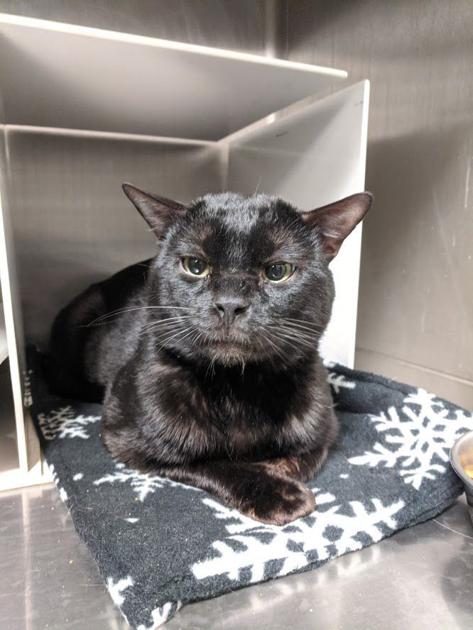 From Russia With Love Local News Postregister Com