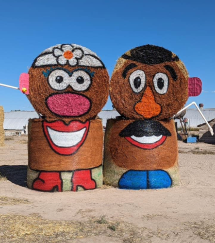 Mr potato shop head farmers