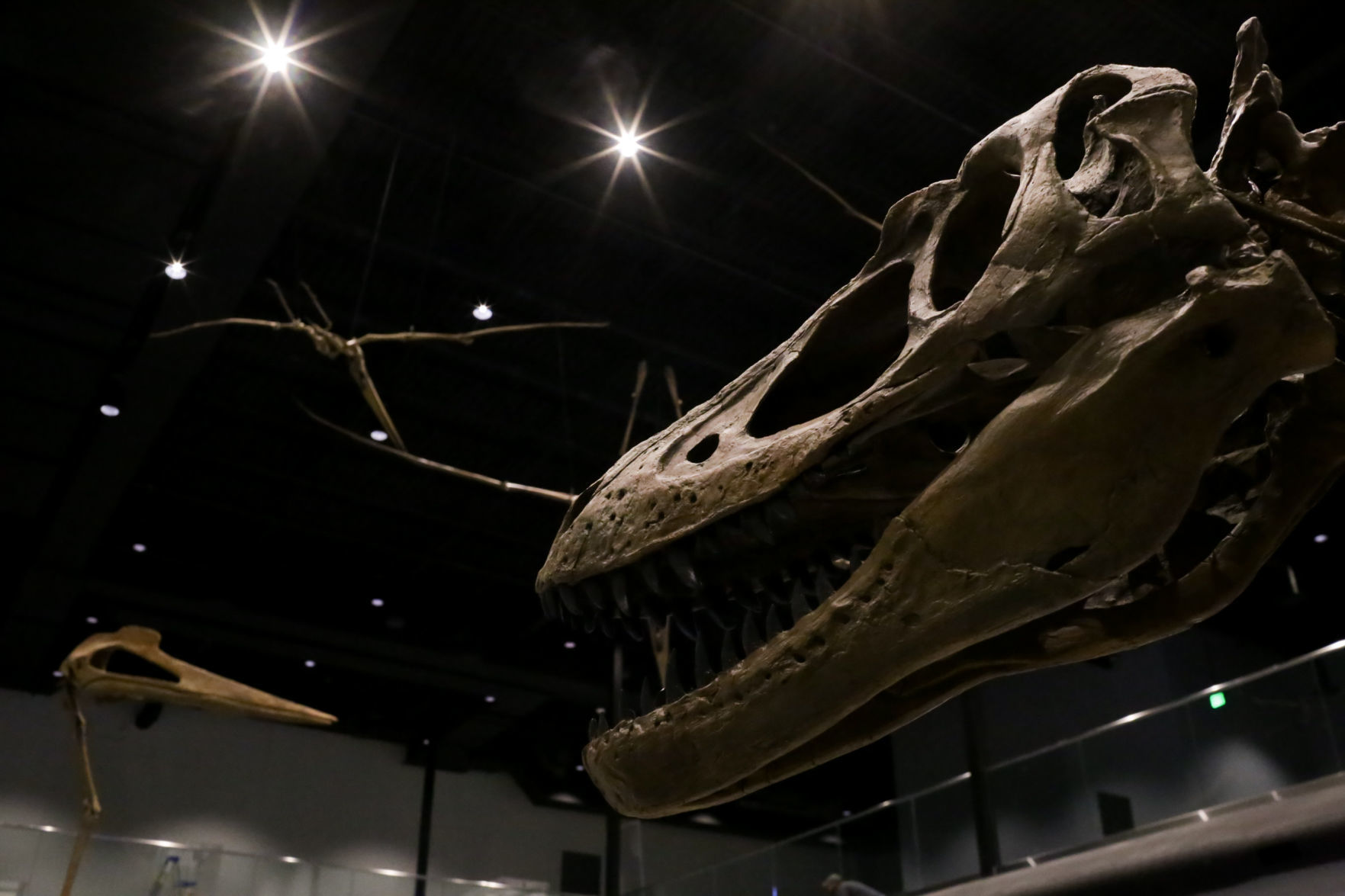 Museum Of Idaho Evolves Into New Exhibit Hall And Renovations | Local ...