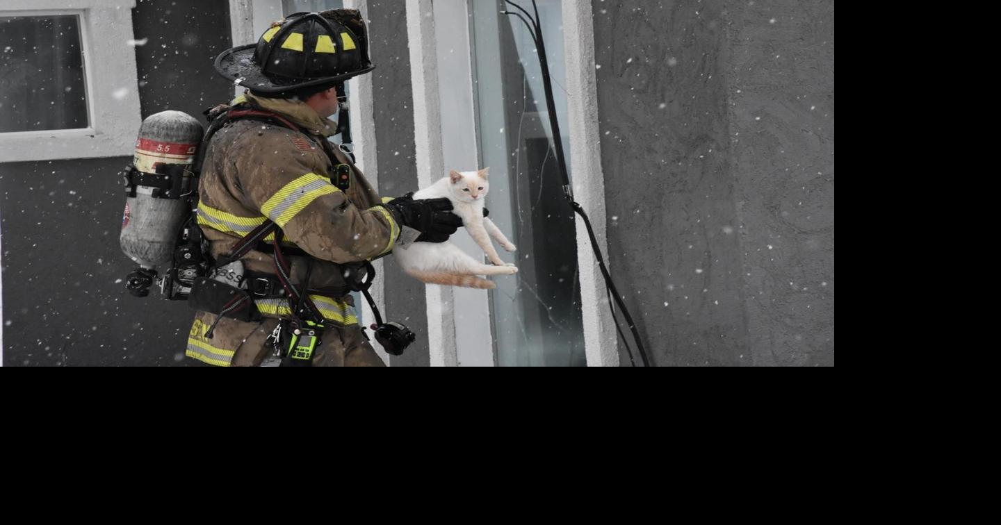 IFFD responds to weekend fires, rescues cat | Local News | postregister.com