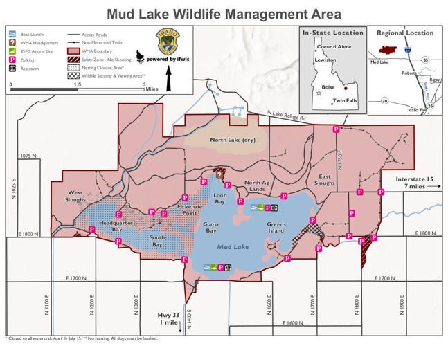 Connelly Wildlife viewing at Market and Mud Lake WMAs News