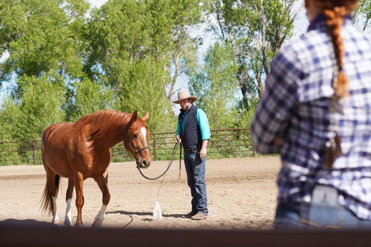 HAPI Trails hosts international horse clinician Mark Langley | Farm ...