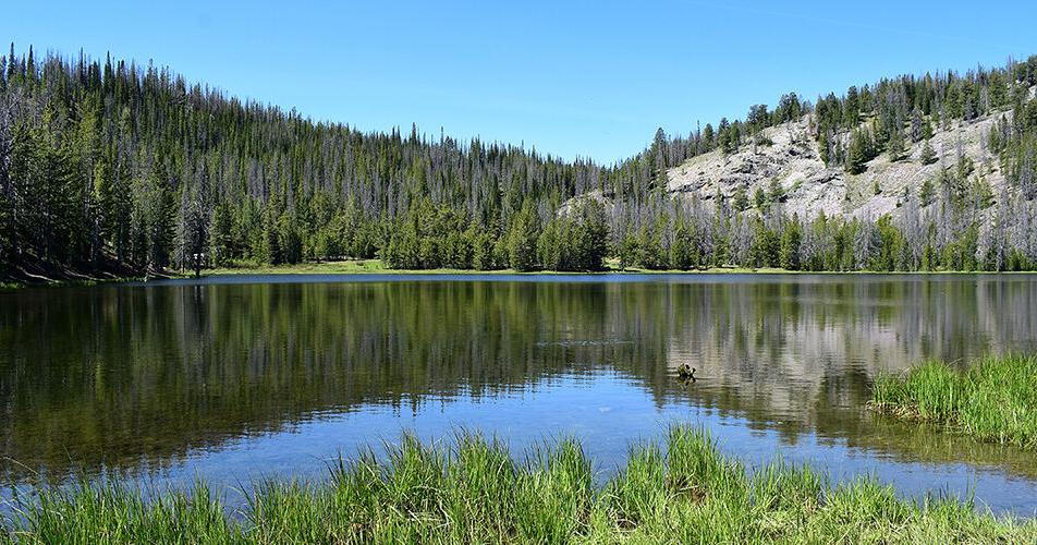 Agency restructure may affect Idaho Forest Service employees
